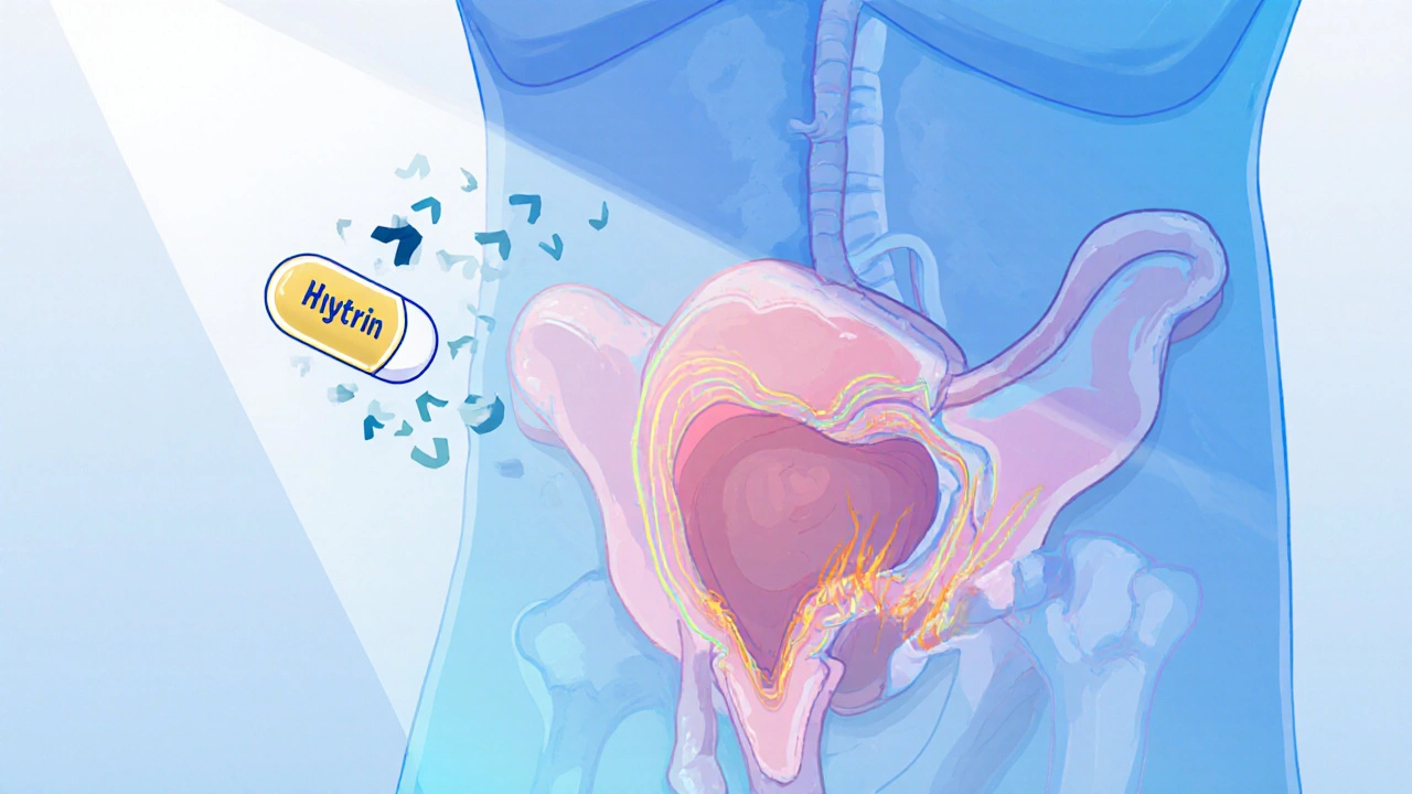 Hytrin (Terazosin) vs. Other BPH Medications: A Detailed Comparison