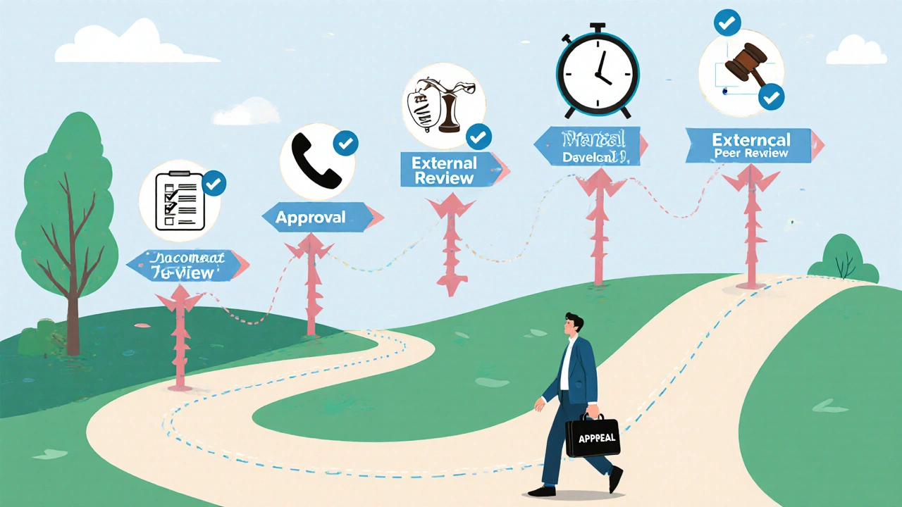 Step-by-step appeal journey illustrated as a path with checkpoints and icons.