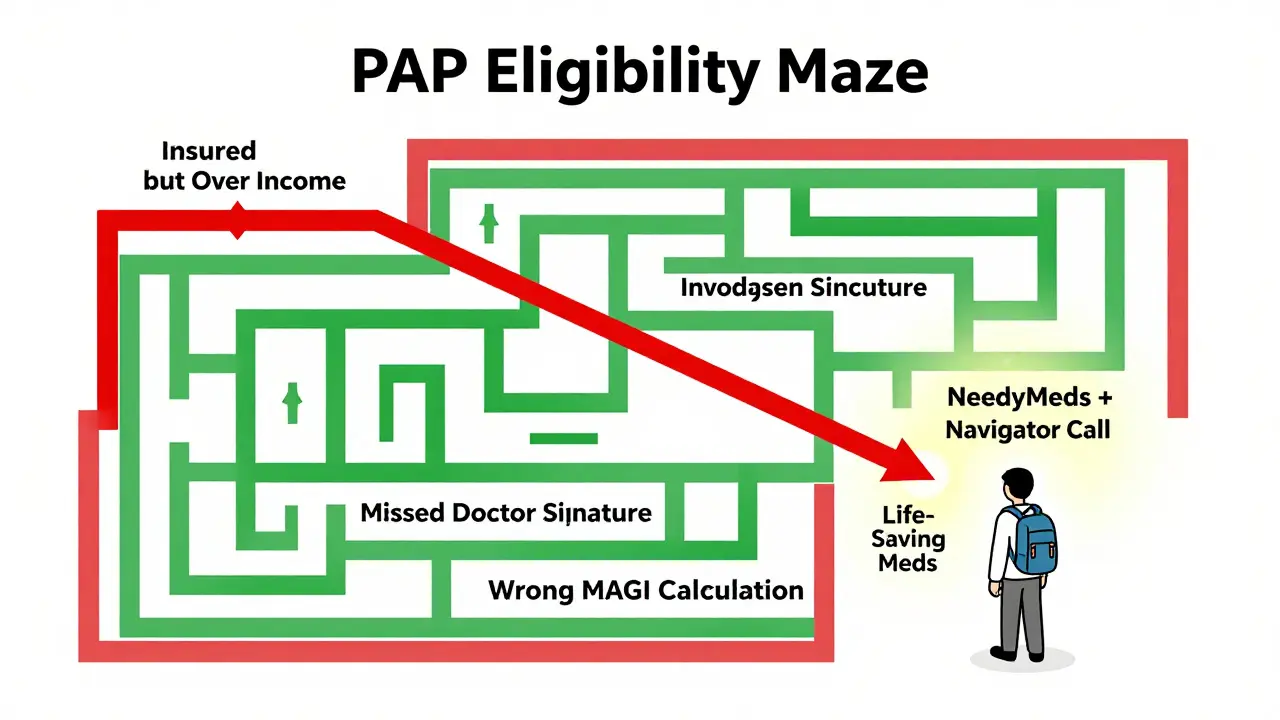 A flowchart maze with barriers to patient assistance programs, leading to a solution marked by NeedyMeds and a navigator call.