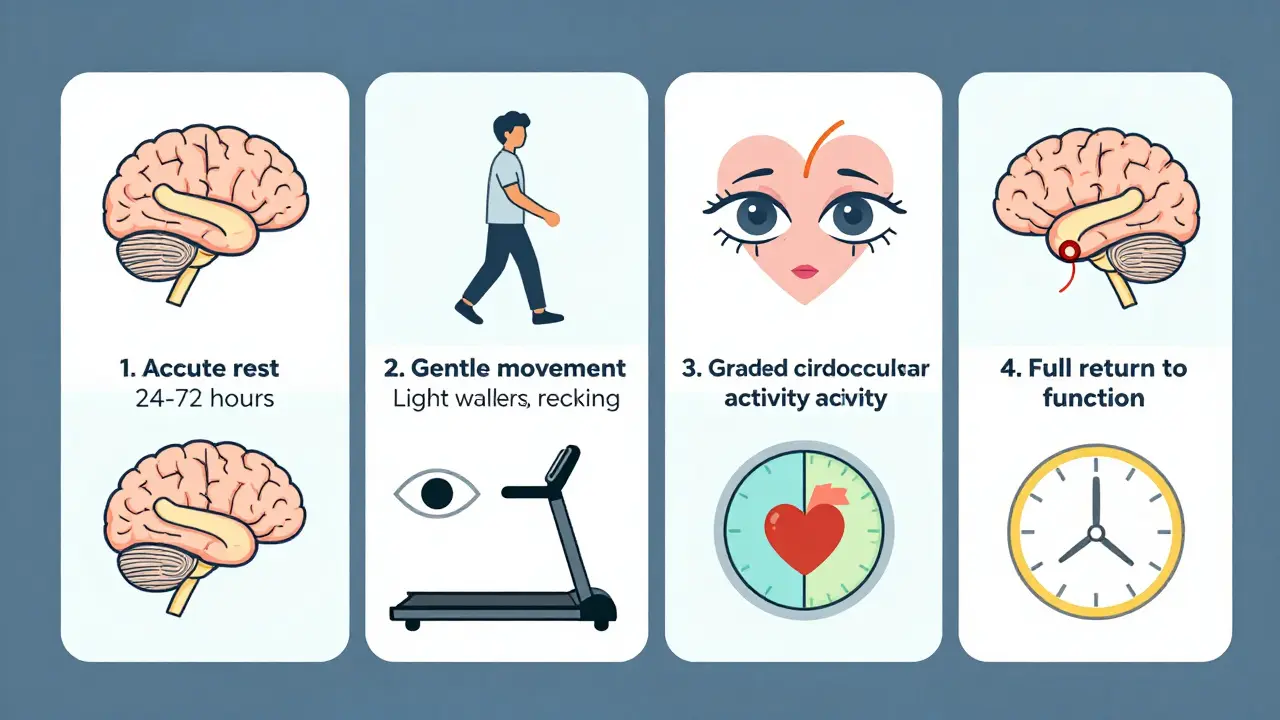 Four-panel timeline illustrating stages of concussion recovery from rest to active rehabilitation.