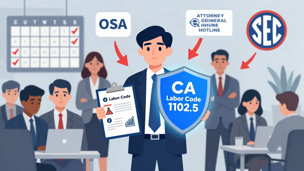 Whistleblower Laws: What Protections You Actually Have When Reporting Violations