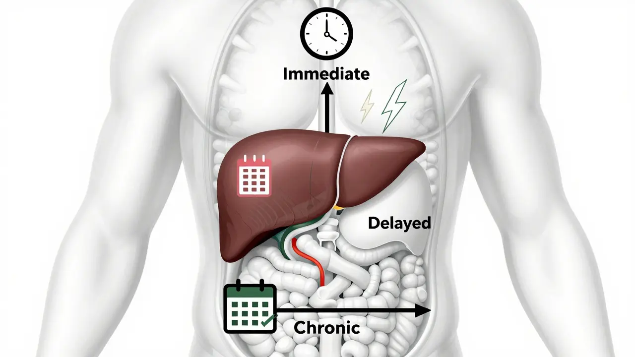 Schematic diagram showing timing of drug reactions in the body