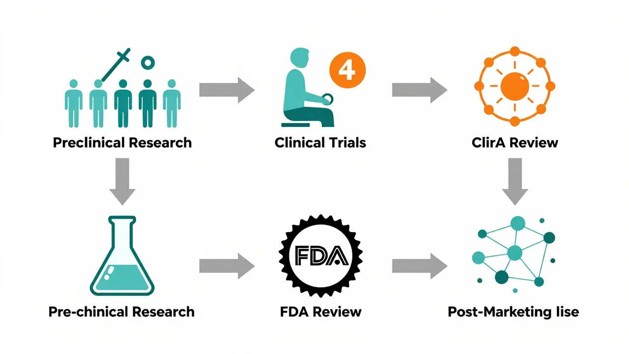 Technical diagram of drug approval and safety monitoring stages